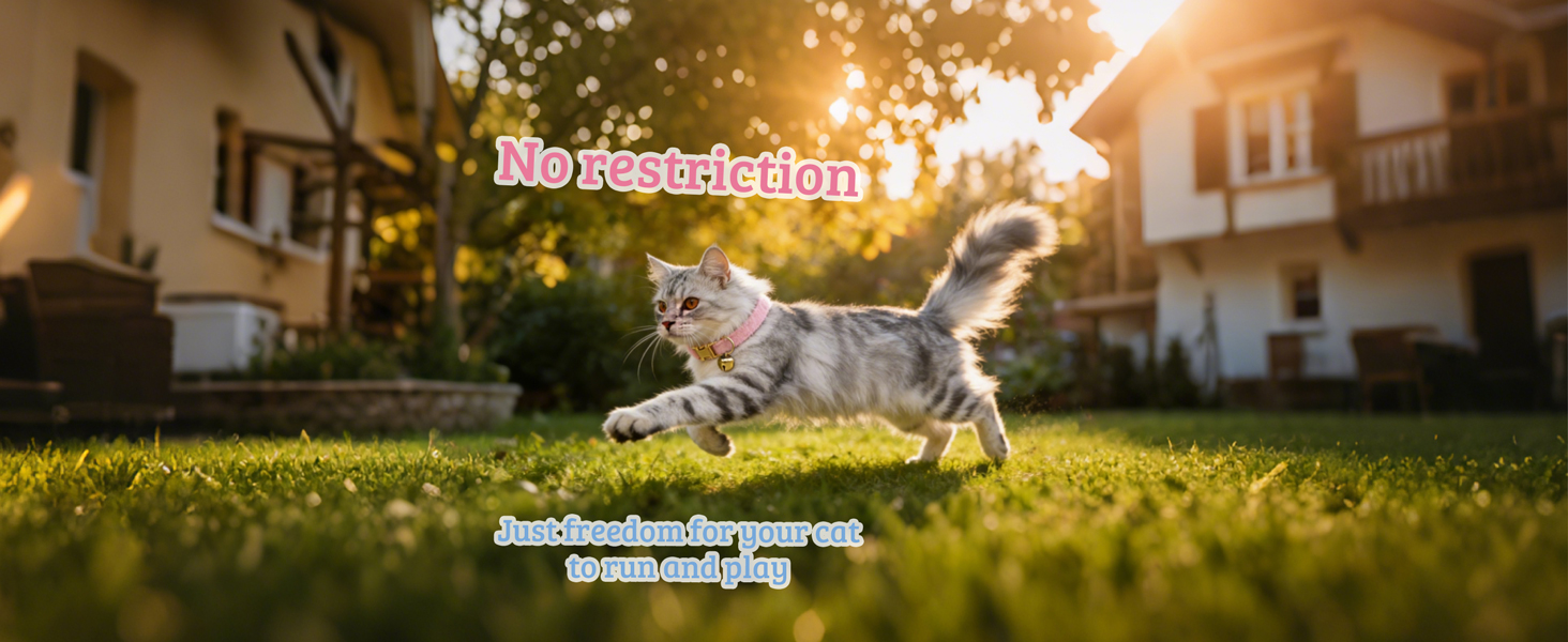 No restriction - just freedom for your cat to run and play