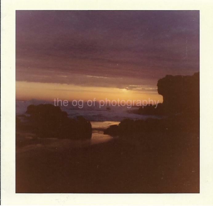 Nature In Silhouette FOUND Photo Poster paintingGRAPH Color Original Snapshot VINTAGE 09 17 Z