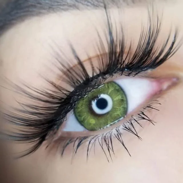 Beacolors Gem Brown