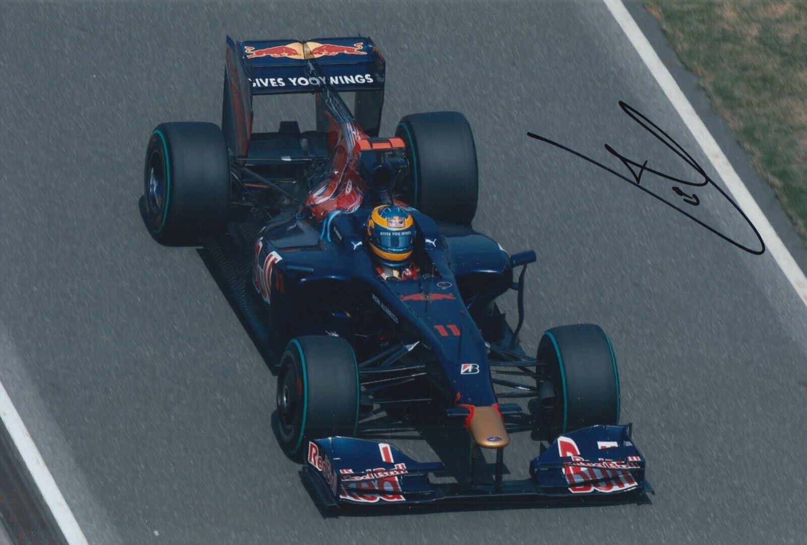 Sebastien Bourdais Hand Signed 12x8 Photo Poster painting F1 Autograph Scuderia Toro Rosso