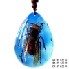 Insect Amber Pendant Natural Butterfly Specimen Insect Amber Necklace Children's Hanging Accessories