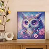 DIY Partial Special Shaped Drill Diamond Painting-Owl