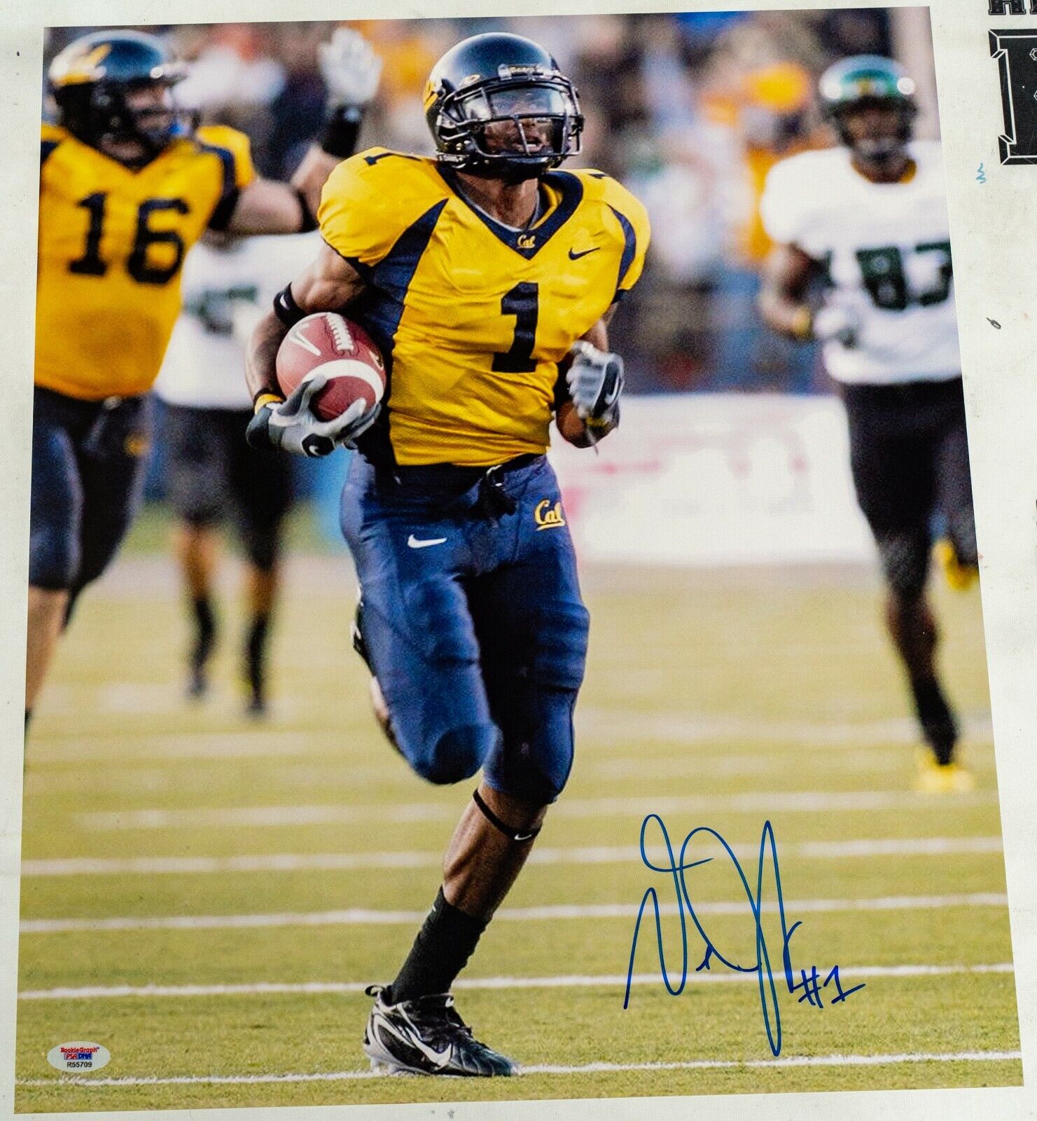 DeSean Jackson Signed Cal Bears Football 16x20 Photo Poster painting PSA/DNA COA Picture Auto'd