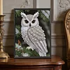 Owl-Special Shaped Diamond Painting