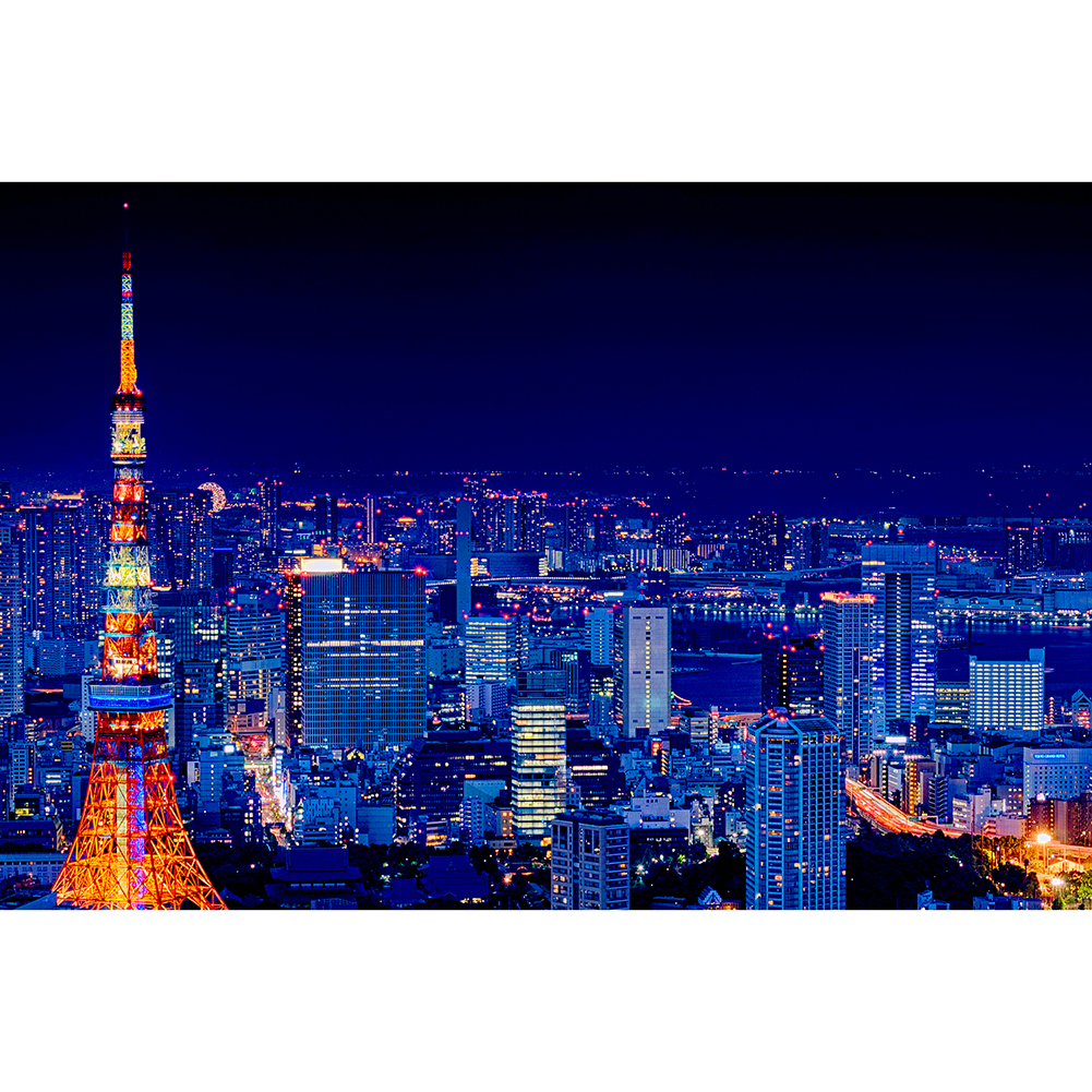 

Nightscape - 1000 Pieces Jigsaw Puzzle, 501 Original