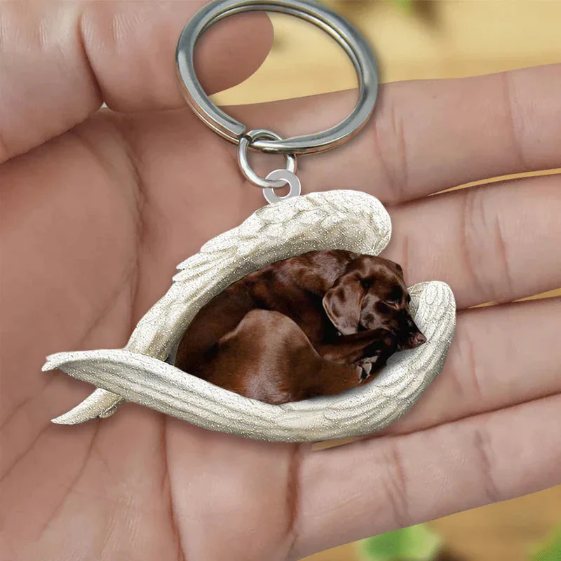 VigorDaily Sleeping Angel Acrylic Keychain Chocolate Labrador