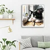 Cat-Paint by Numbers Cat 40*40CM