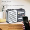 DE808 Multi-functional Portable Radio with Bluetooth, SIM Card, USB Flash Drive, Lighting, and Charging Capabilities