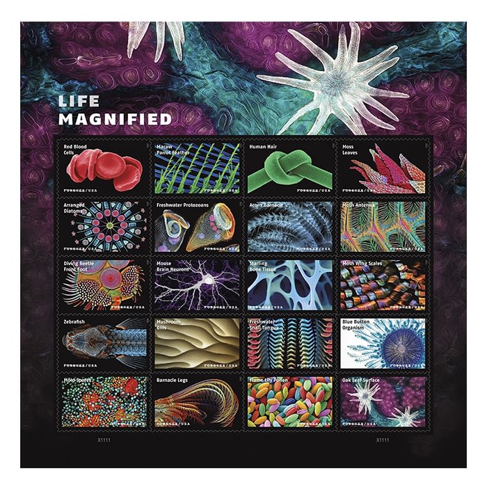 Life Magnified Stamps 2023