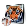 uk.everydayedeals (Limited Stock)Paint By Number - Oil Painting -  Tiger (40*40Cm)