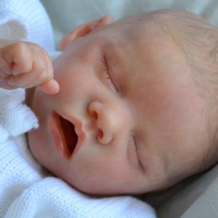 Reborn [Special Gift for Kids] 17inch Belanda Truly Lifelike Silicone Baby Doll Girl for Adoption 2023 -Creativegiftss® - [product_tag] Creativegiftss®