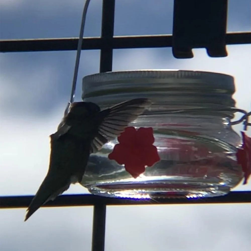 Beautiful canned hummingbird feeder with three ports