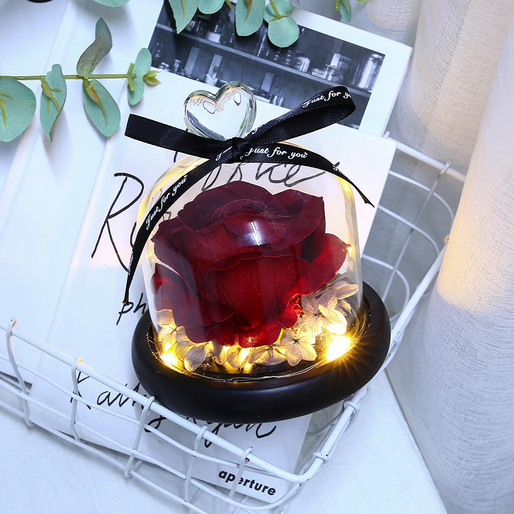 

LED Eternal Rose In Glass Cover Dome-Night Light, 501 Original