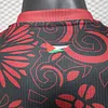Joyfball 2025/2026 Player Version Palestine Red Football Shirt（The player version jersey is a bit tight, please pay attention to the size selection）