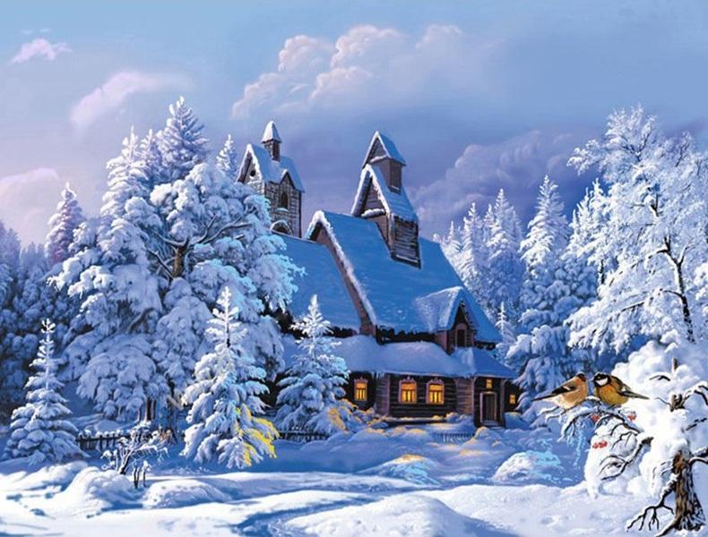 

Snowy Cabin in the Woods – Paint By Numbers - 40*50CM, 501 Original