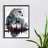 Peinture ronde de diamant de forage de hibou-30*40cm
