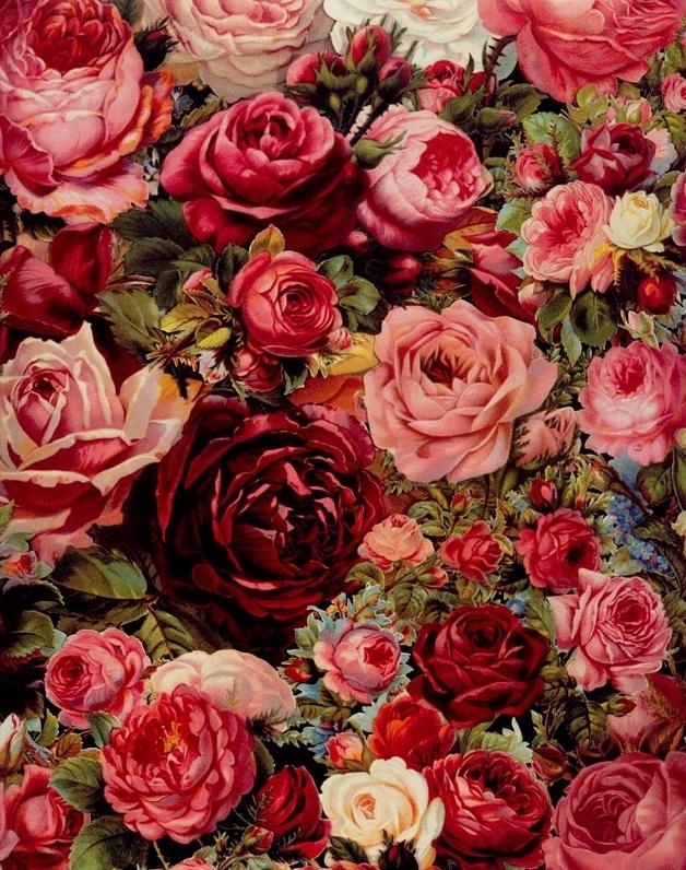 

Rose Flowers Hand Painted – Paint By Numbers - 40*50CM, 501 Original