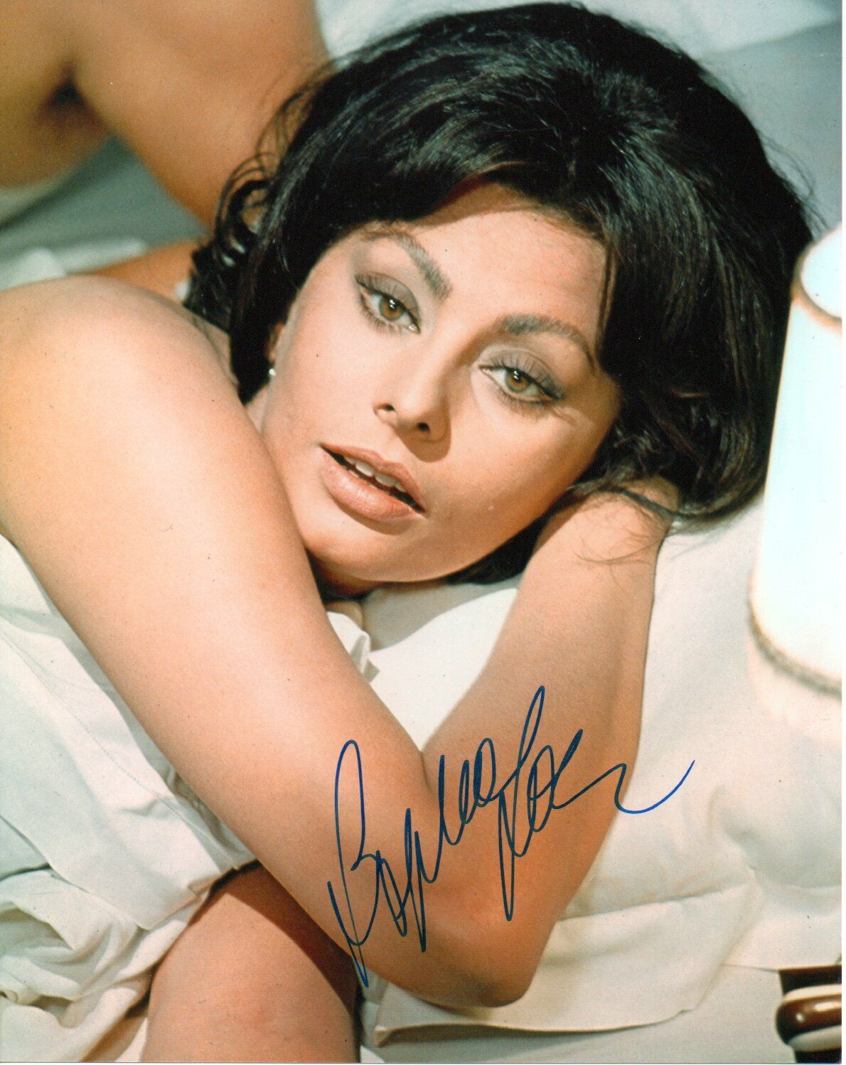 Sophia Loren Signed autograph vintage 8 X10 Photo Poster painting Stunning