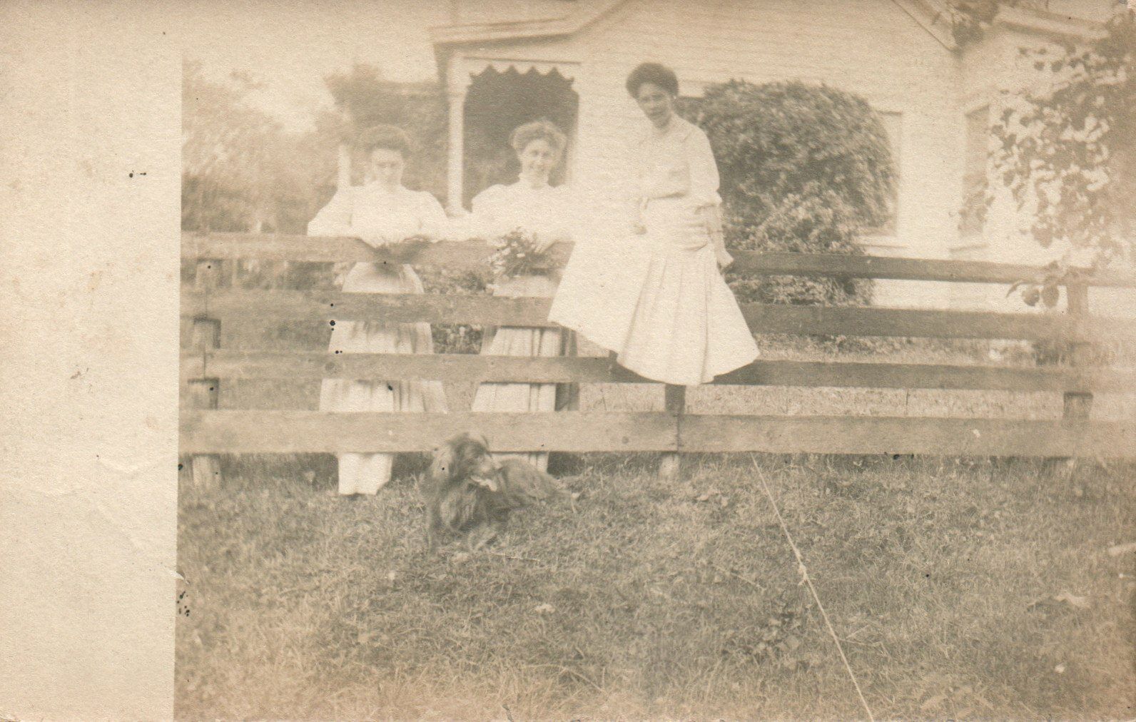 Antique Three Young Women Posing on Fence RPPC Real Photo Poster painting Postcard