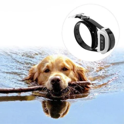 Wireless Dog Fence Receiver Collar