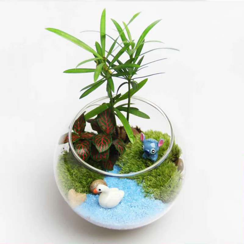 Build Your Own Terrarium Kit -Mini potted DIY plant ecological bottle、shopify、sdecorshop