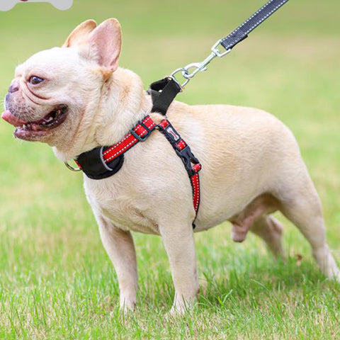 Dog Harness