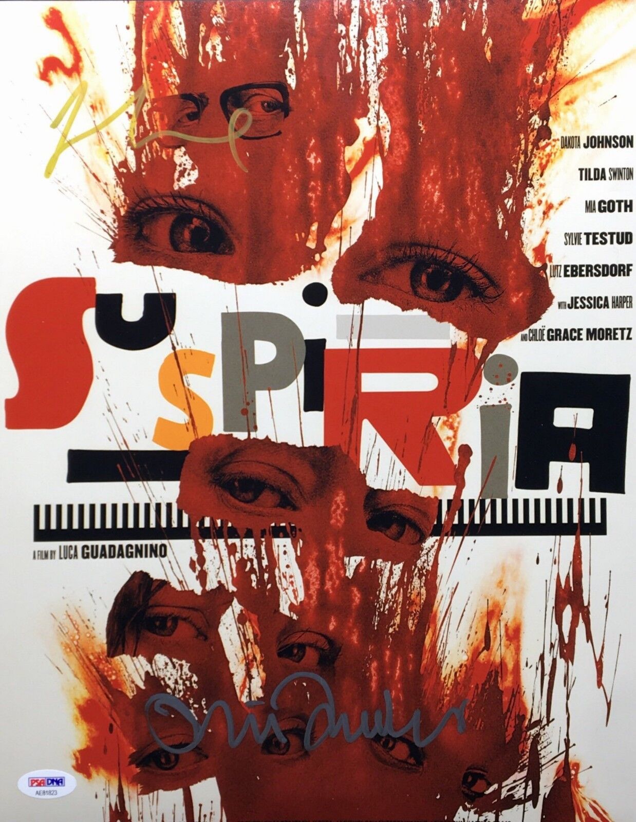 Luca Guadagnino & Tilda Swinton Signed 'Suspiria' 11x14 Photo Poster painting PSA AE81823