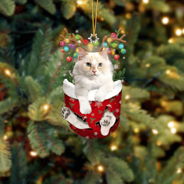 Cat 34 In Snow Pocket Ornament
