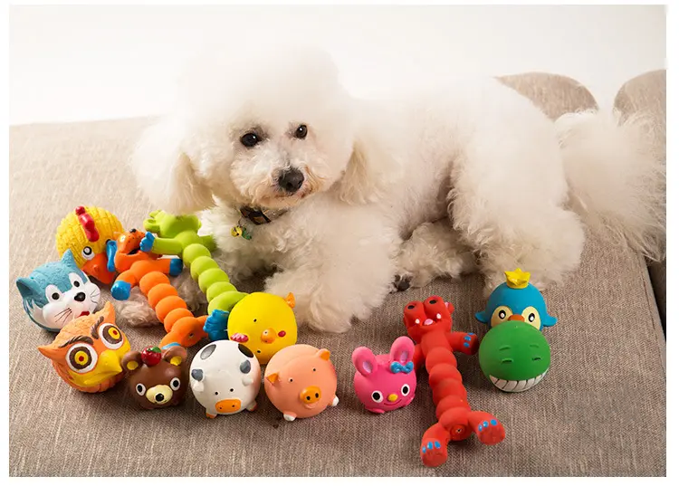 Why do dog toys Smell? Dog toys smell. What should we do?