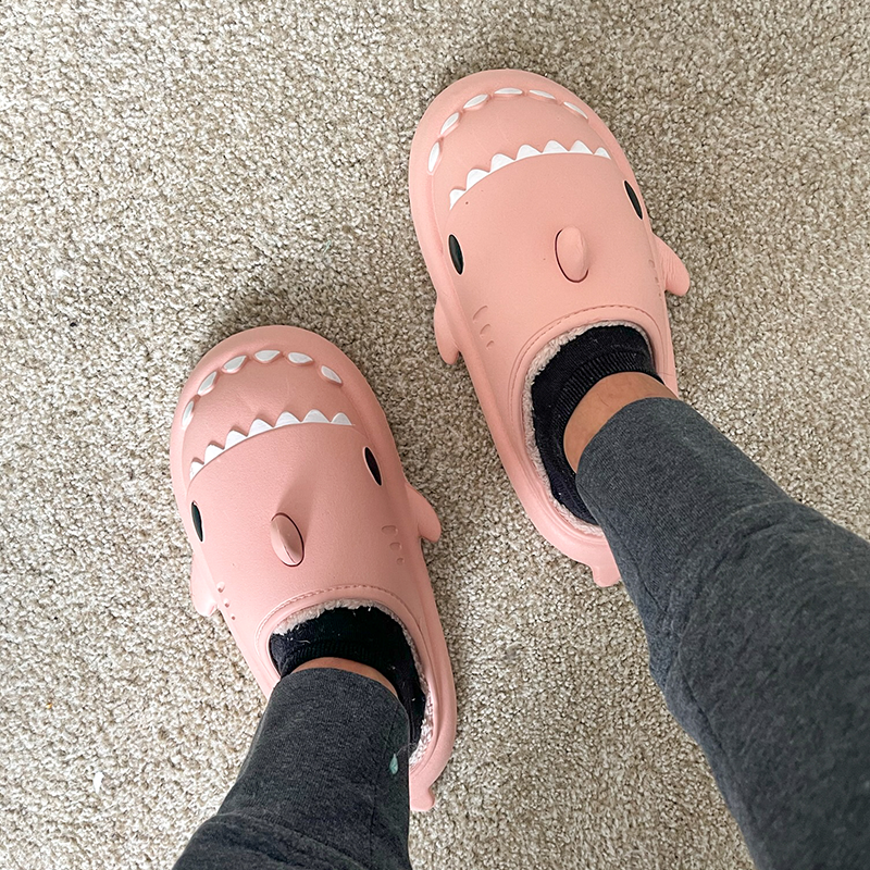 the cloud sharks winter