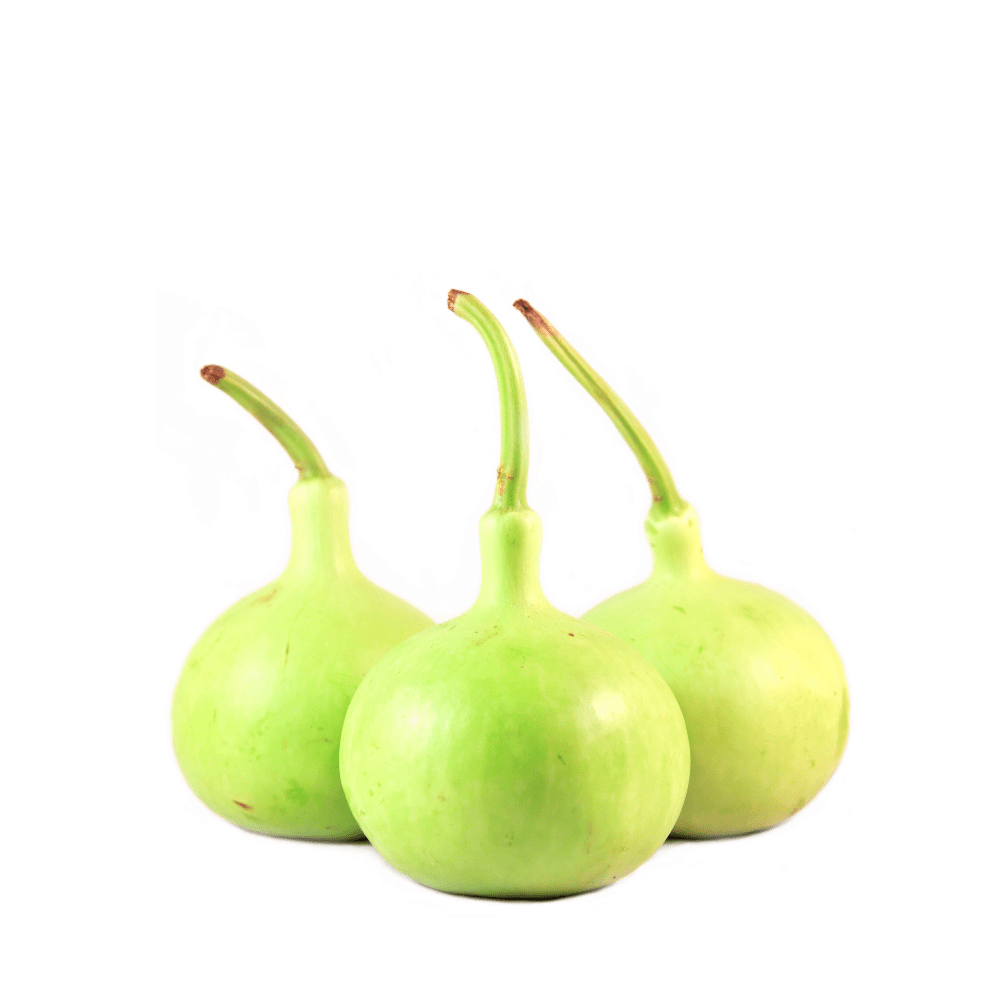 Heirloom Round Green Gourd (Ghiyya Kadu) Seeds
