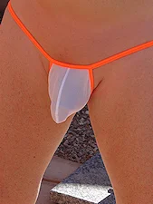 Pornhint Cheetah See Through Bikini New
