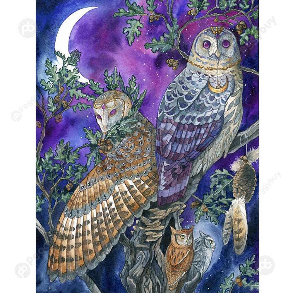 

40*50CM Paint By Numbers-Owl, 501 Original