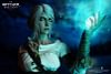 1/6 Scale Movable Cirilla Fiona Elen Riannon - The Witcher 3: Wild Hunt Official Statue - PureArts