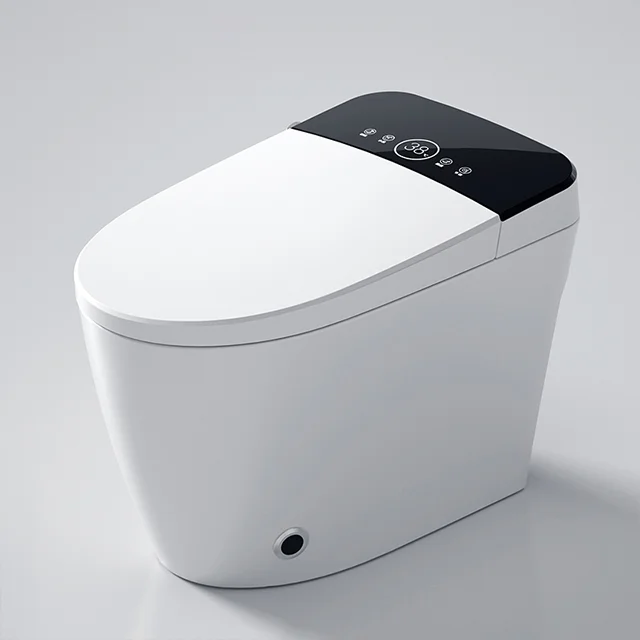 Modern Elegant Home Sanitary Ware Ceramic Electric Smart Intelligent Toilet  for Villa or Hotel - China Toilet, Intelligent Toilet