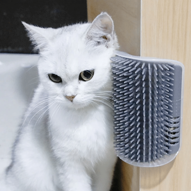 Corner Massage Cat Brush - Buy 3 Free Shipping 