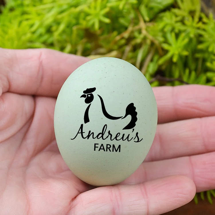 Custom Duck or Hen Egg Stamp for Egg Cartons, Personalized Rubber Stamp with Handle, Perfect for Homestead Branding and Coop Use