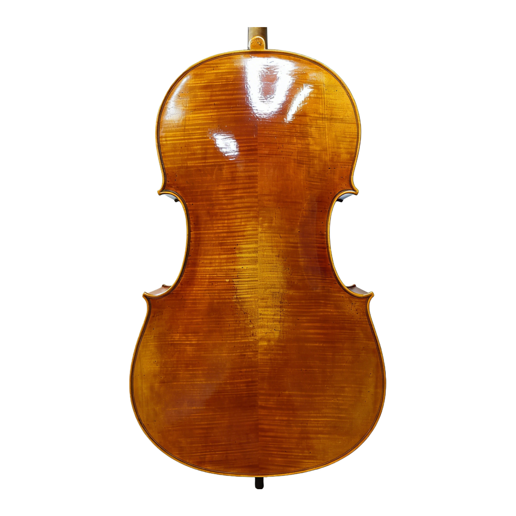 Rare 40-Year Bohemian Flamed Maple Back on Joyee Master Cello