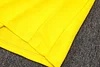 Joyfball 2024/2025 Brazil Half-Pull Training Suit Yellow Football Shirt 1:1 Thai Quality