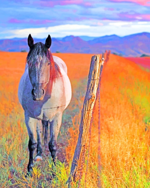 

Horse In Field – Paint By Numbers - 40*50CM, 501 Original