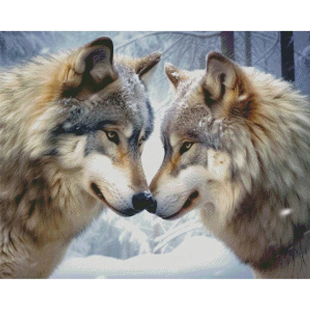 Wolf-Paint by Numbers-30*40cm/40*50cm