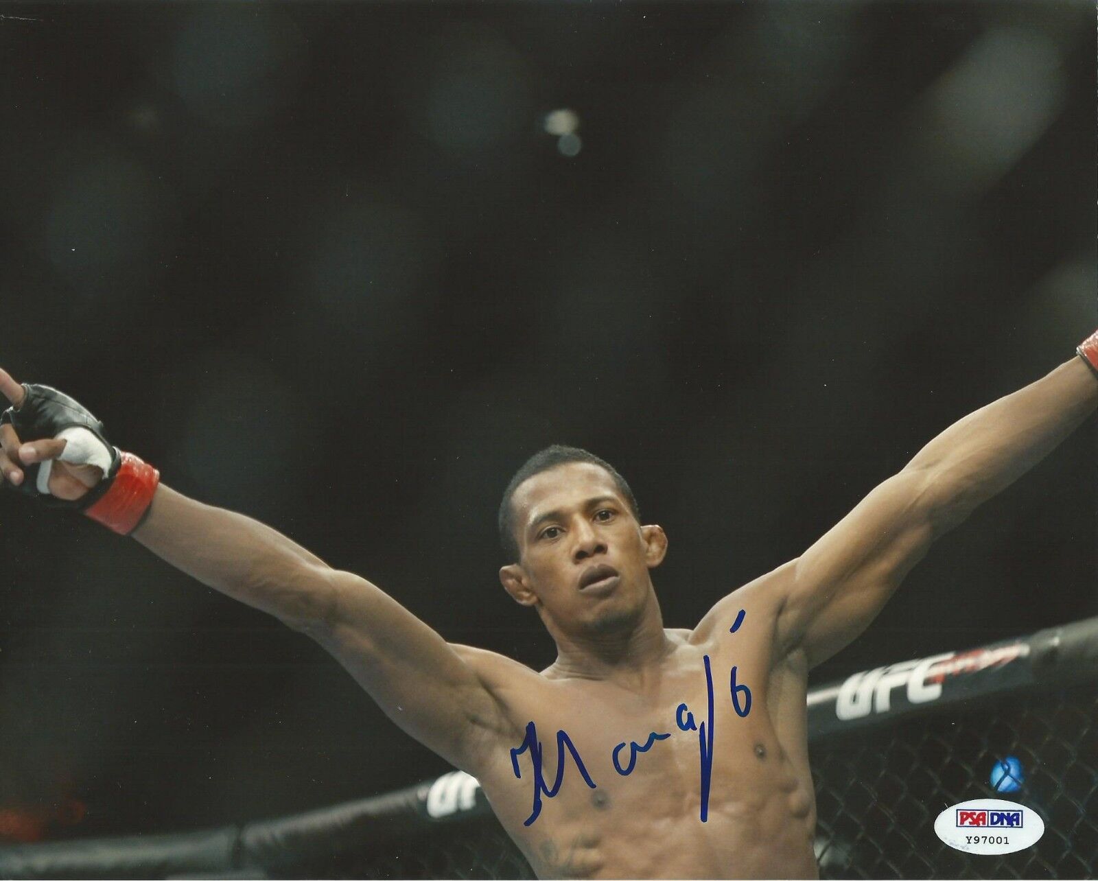 Iuri Yuri Alcantara Signed UFC 8x10 Photo Poster painting PSA/DNA COA Picture Autograph 147 142