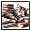 Books And Cats-11CT Stamped Cross Stitch 40*40cm/15.75*15.75in tapestrymarket