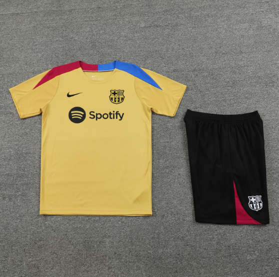 24/25 Barcelona Training Kit Short Sleeve Football Shirt Thai Quality