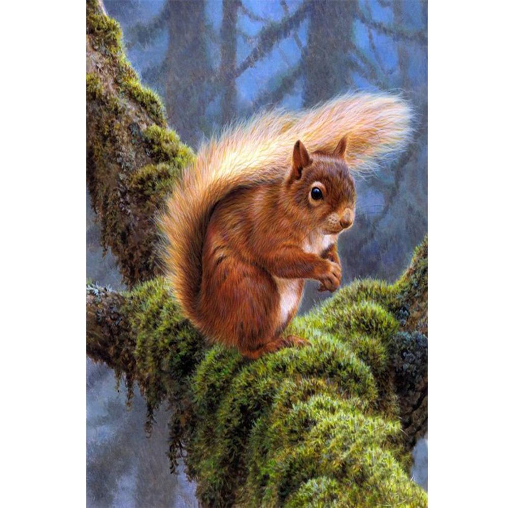 

40*30CM - Squirrel - Round Drill Diamond Painting, 501 Original