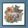 Diamond Painting-DIY Crystal Rhinestone Butterfly Camera