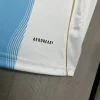 2024 America Cup Argentina Sparks 10th generation fans customized Soccer jersey