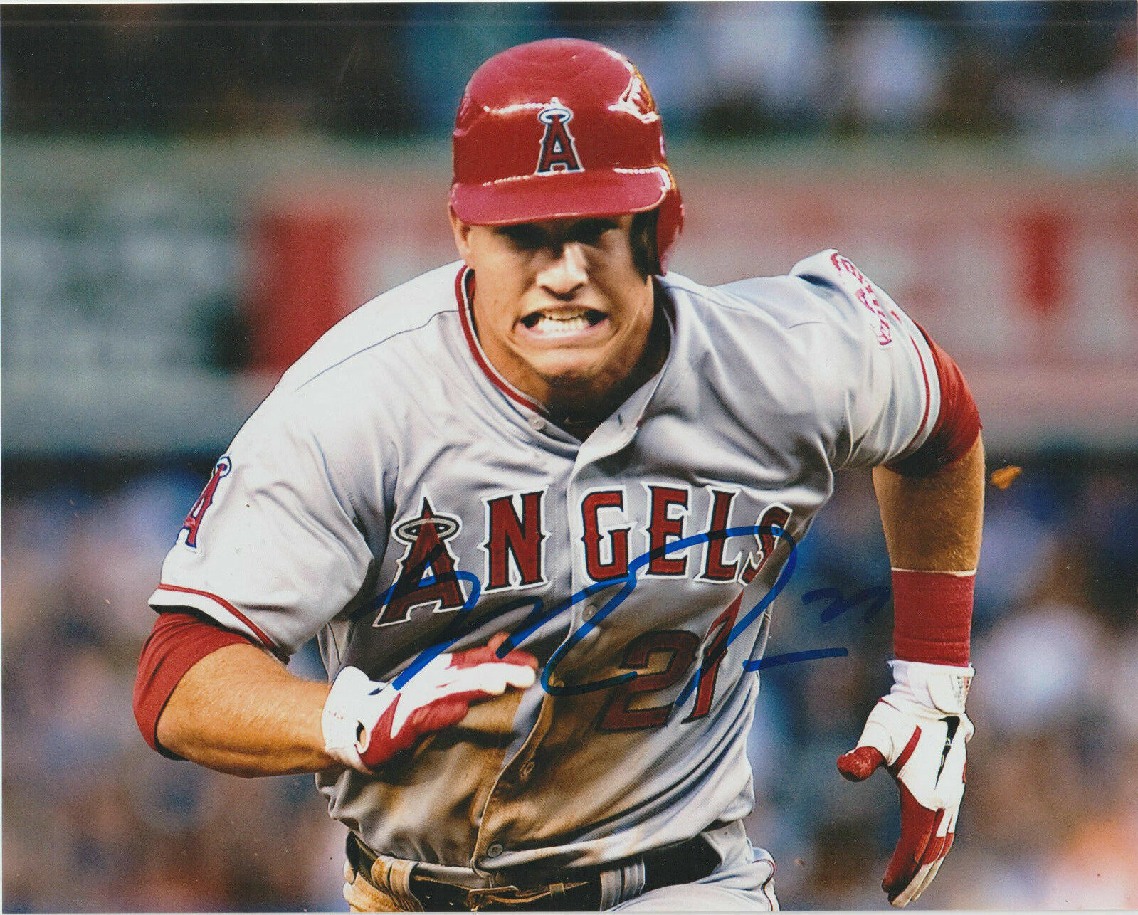 MIKE TROUT Angels SIGNED 8 x 10 Photo Poster painting Autographed REPRINT ,