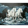 (5 Sizes) Horse-Full Square Diamond Painting