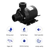DC 12V/24V Immersible Pump 800L/h Water Immersion Pump 5.5 for Garden Fountain
